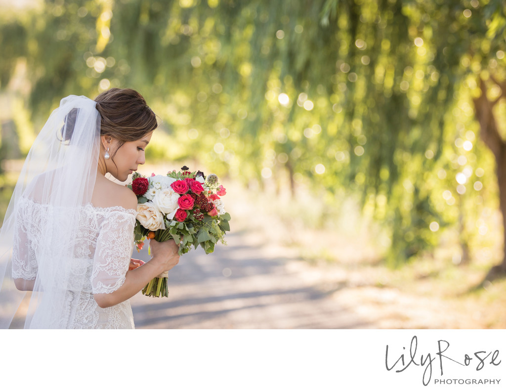 Cline Cellars Sonoma Wedding Photographers Bridal Image