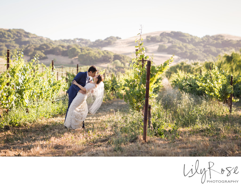 Couple Cline Cellars Sonoma Wedding Photographer