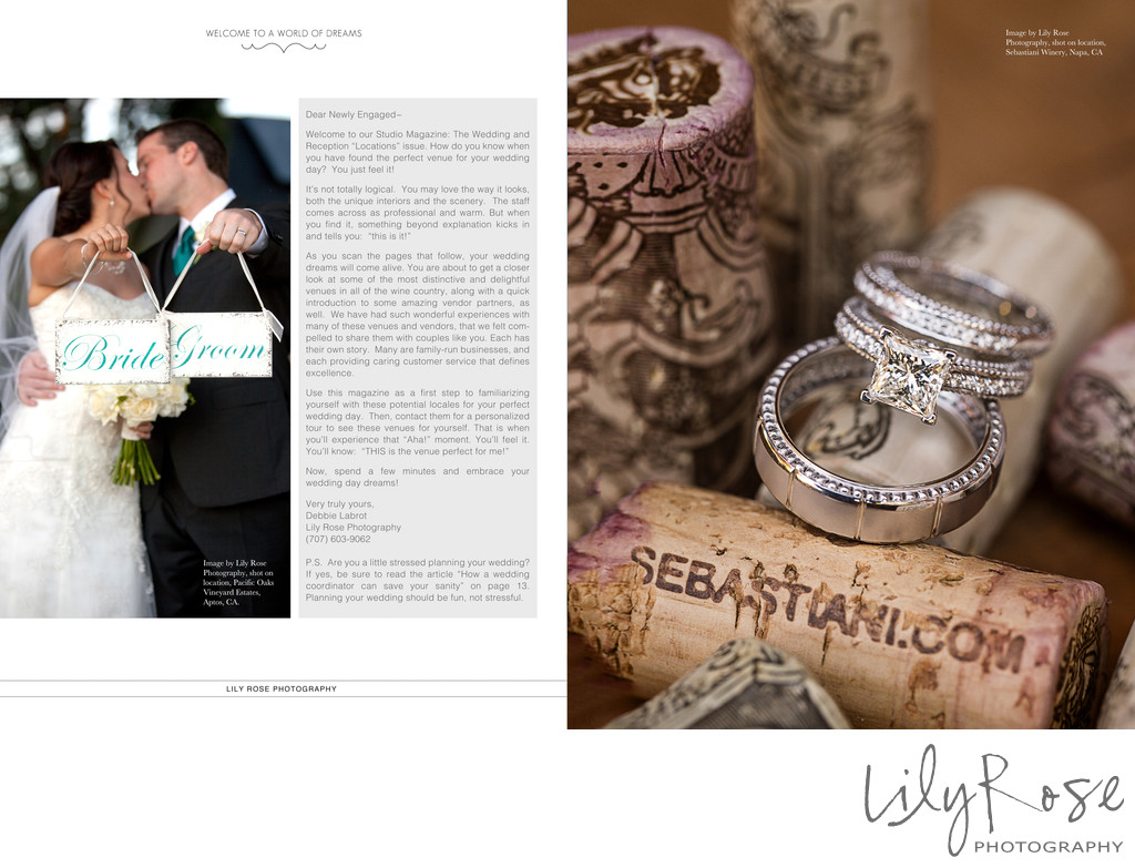 Sebastiani Vineyards & Winery Wedding Best Photography