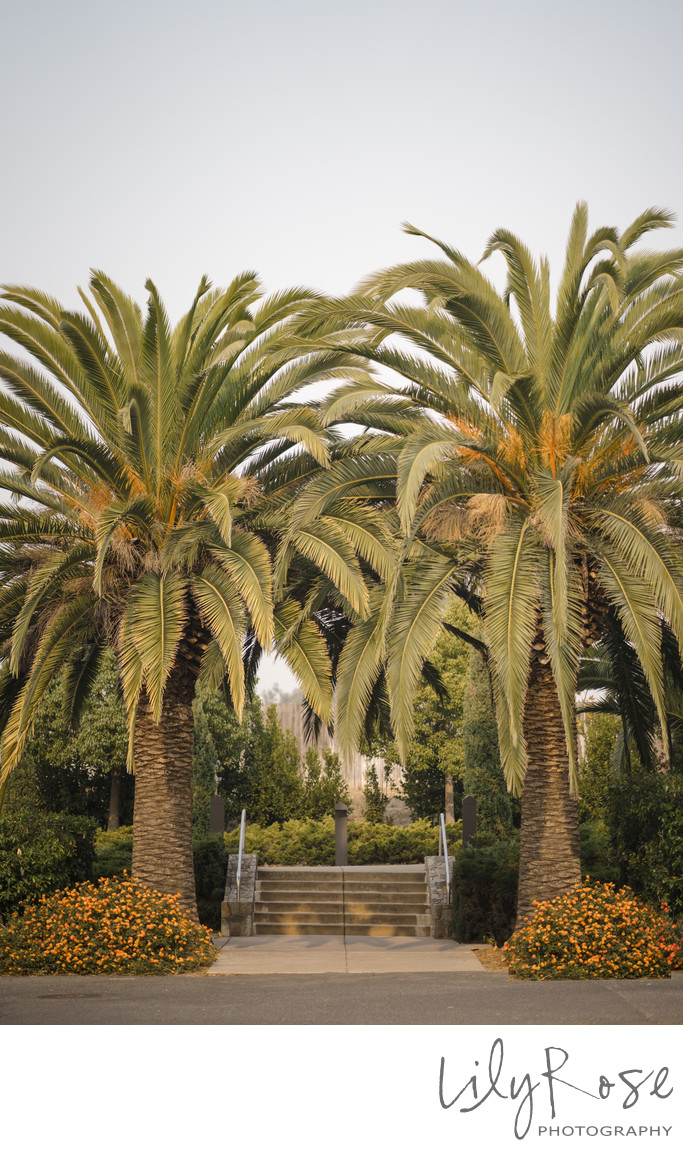 Carneros Resort Wedding Site Best Napa Photographer