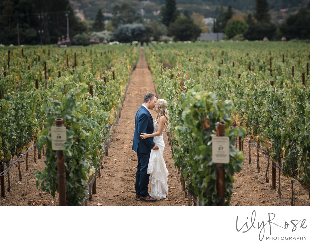 Wedding Day Couple Kissing at Ledsion Winery