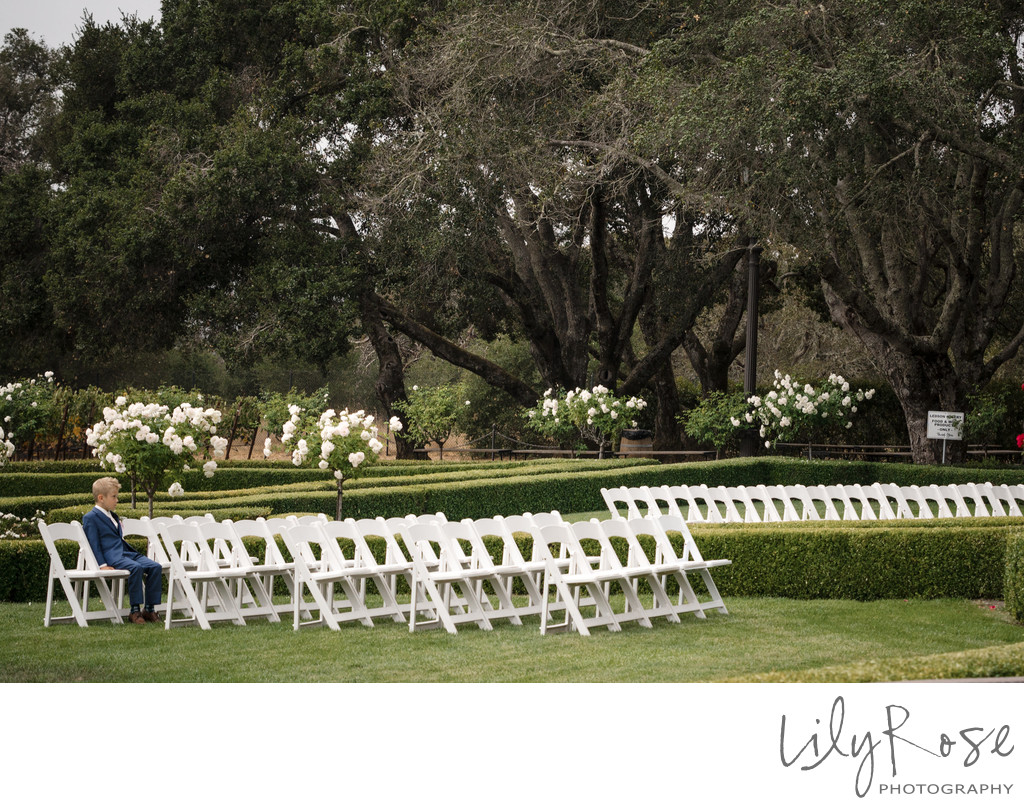 Ring Bearing Waiting at Ledson Winery Ceremony Site