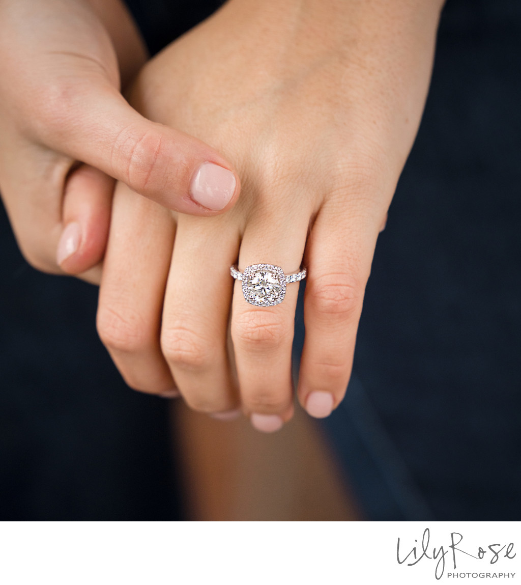 Proposal at Ledson Winery