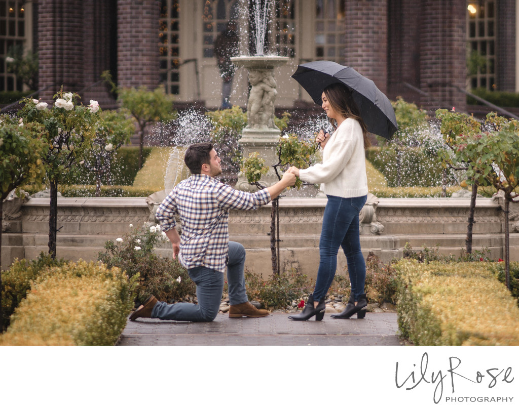 The Wedding Proposal at Ledson Winery
