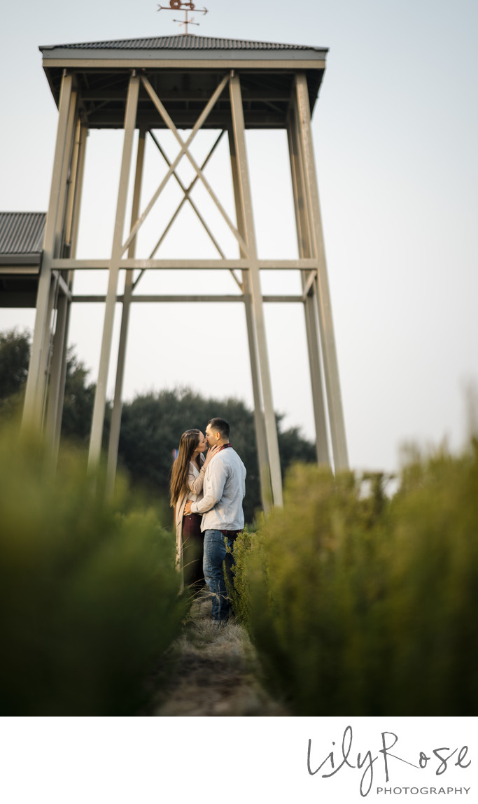 Carneros Resort Spa Wedding Engagement Photographers