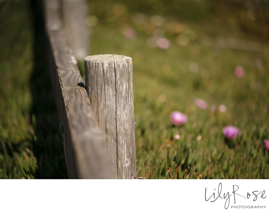 Point Reyes Wedding Photographers