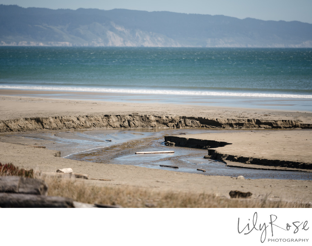 Point Reyes Sonoma Wedding Photographers Beach