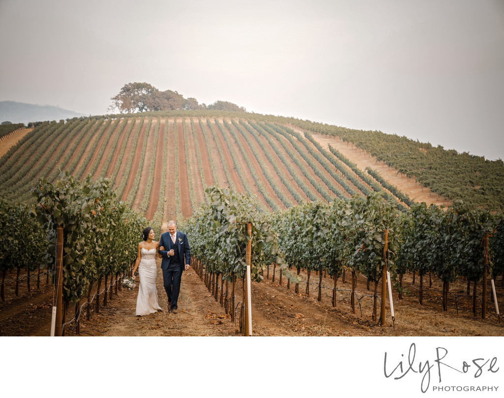 Romantic Wedding Day Walk at Kunde Family Winery