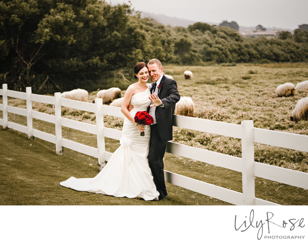 Best Wedding Venue Mission Ranch Carmel Photographer