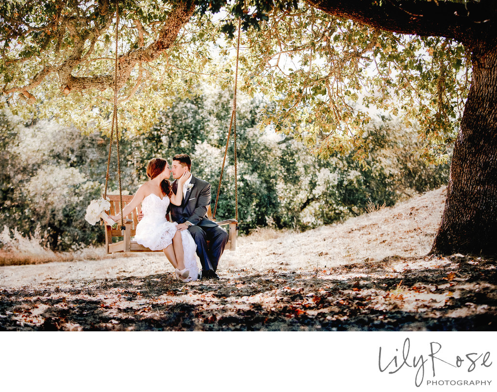 Sonoma's Best Wedding Photographers