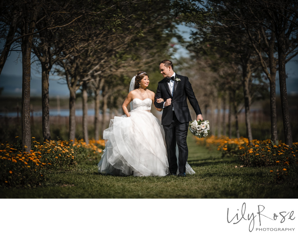 Jacuzzi Family Vineyards Wedding Photography