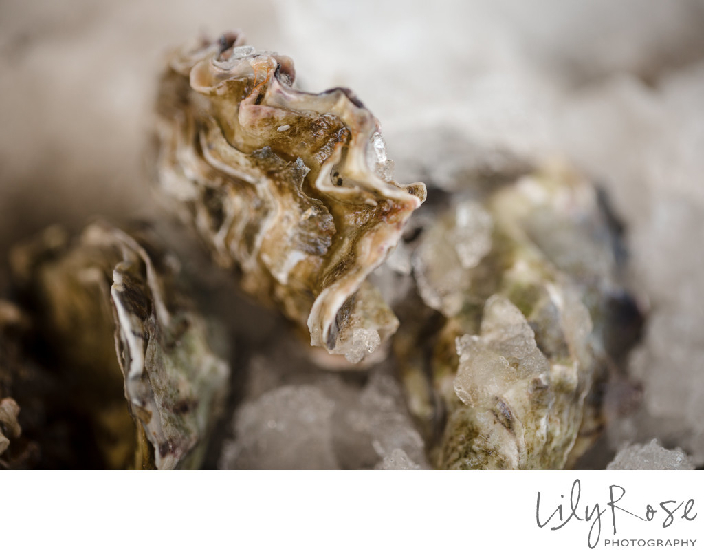 Cocktail Hour Oysters Harrow Cellars Wedding Photography
