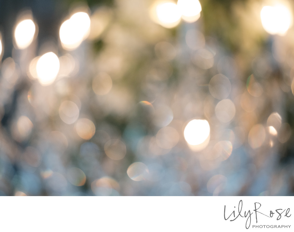 Harrow Cellars Details Sonoma Wedding Photographers
