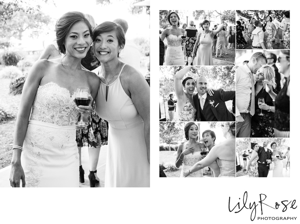 Guests Sonoma Photography Wedding Kunde Family Winery