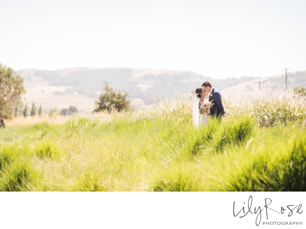 Cornerstone Sonoma Wedding Photography Romantic Image