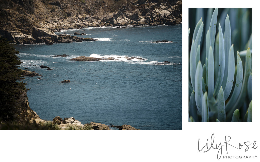 Timber Cove Resort Luxury Wedding Photographer