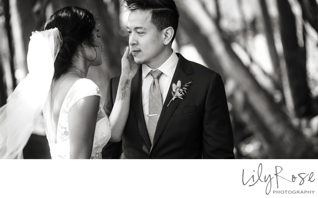 Timber Cove Resort Jenner Wedding Photography