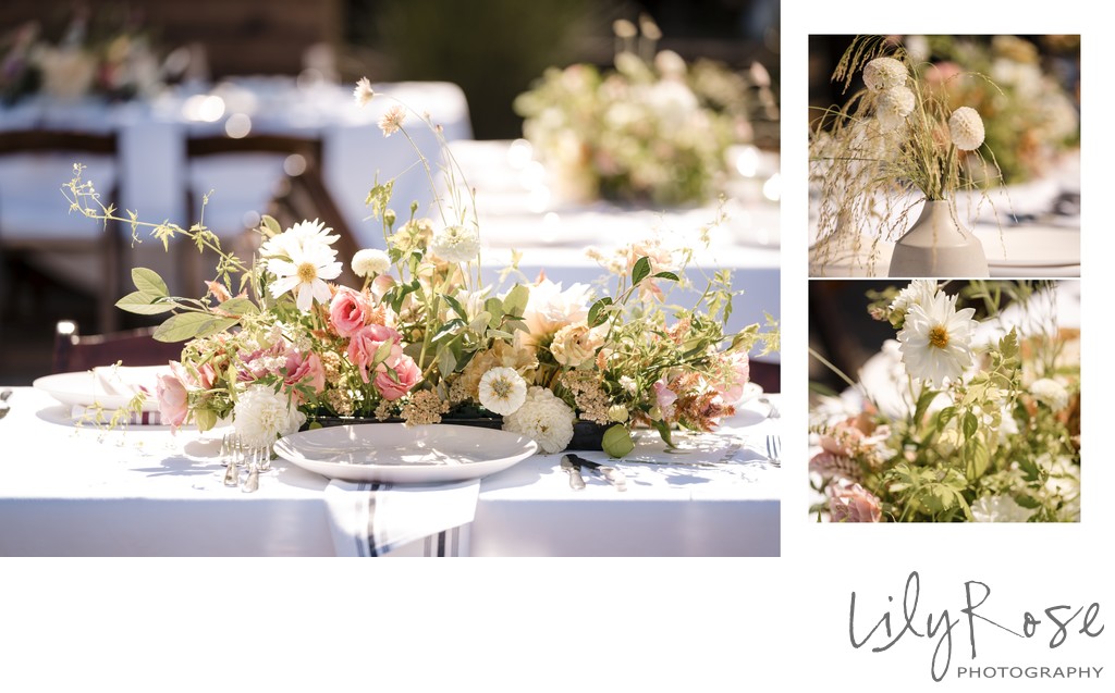 Reception Editorial Wedding Photographers Timber Cove