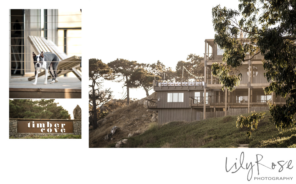 Reception Editorial Wedding Photography Timber Cove