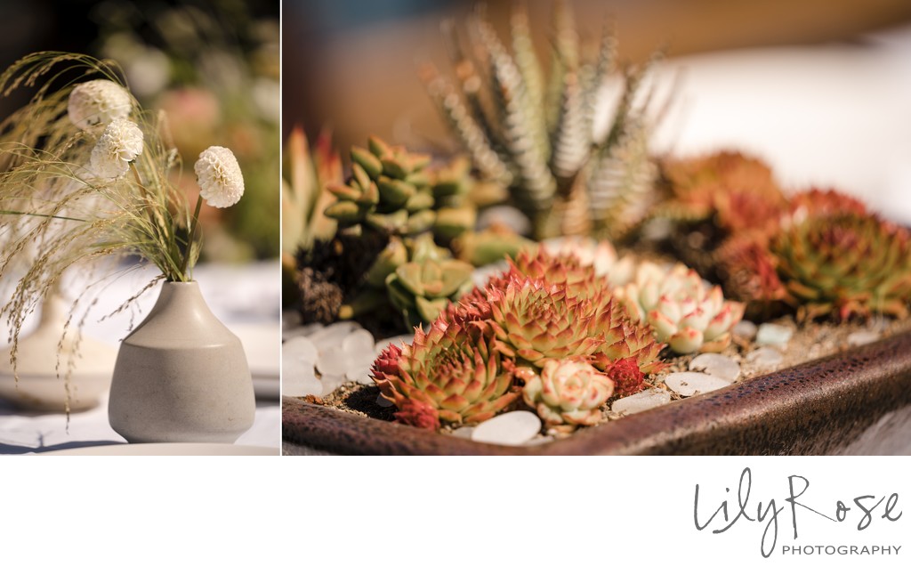 Timber Cove Sonoma Coast Wedding Photography