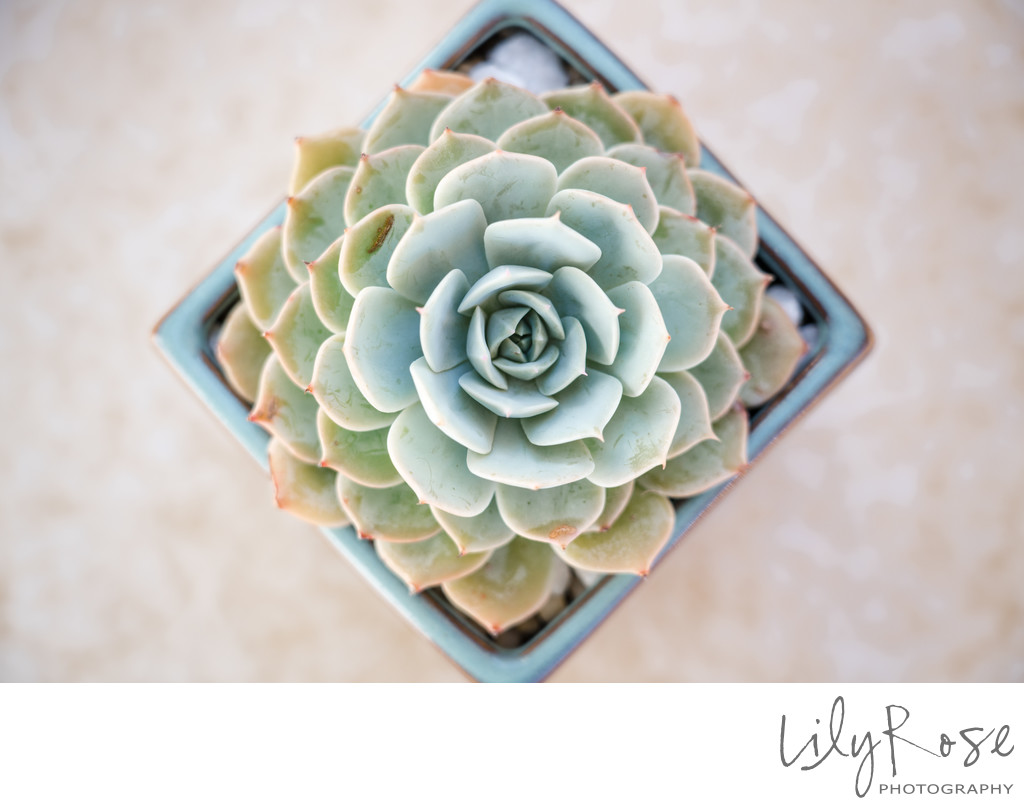 Santa Barbara Bacara Resort Spa Wedding Photographer