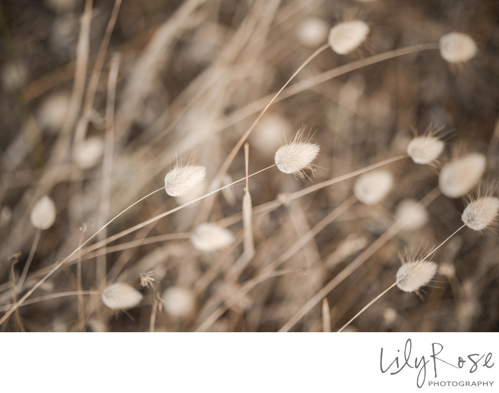 Details Wedding Photographers Napa 