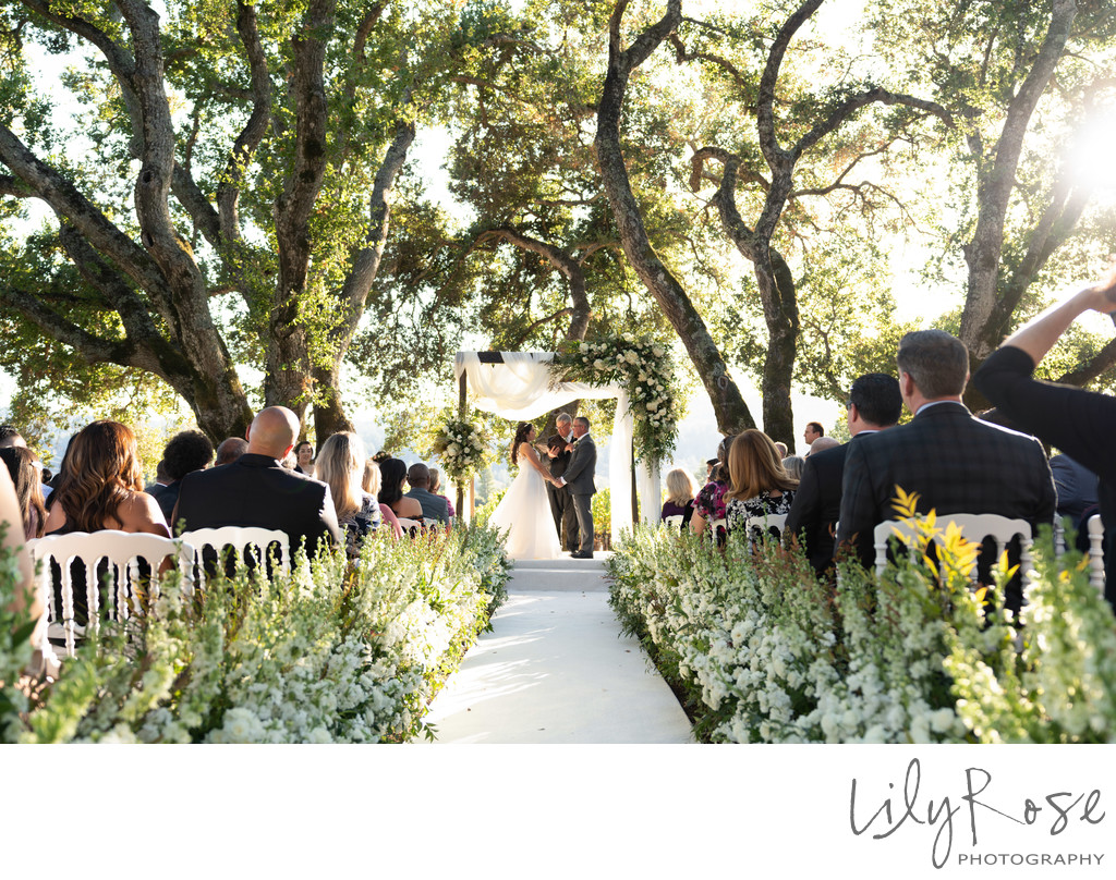 Ledson Winery Napa Editorial Wedding Photographers
