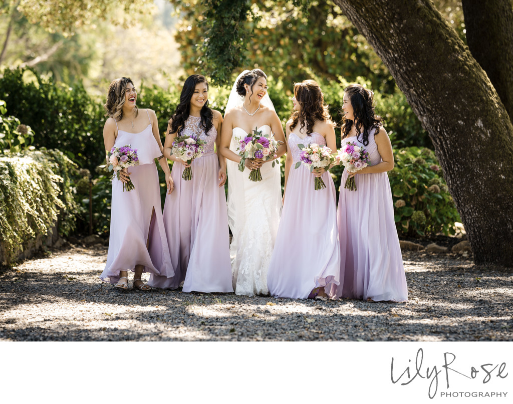 Annadel Estate Winery Napa Valley Wedding Photographer