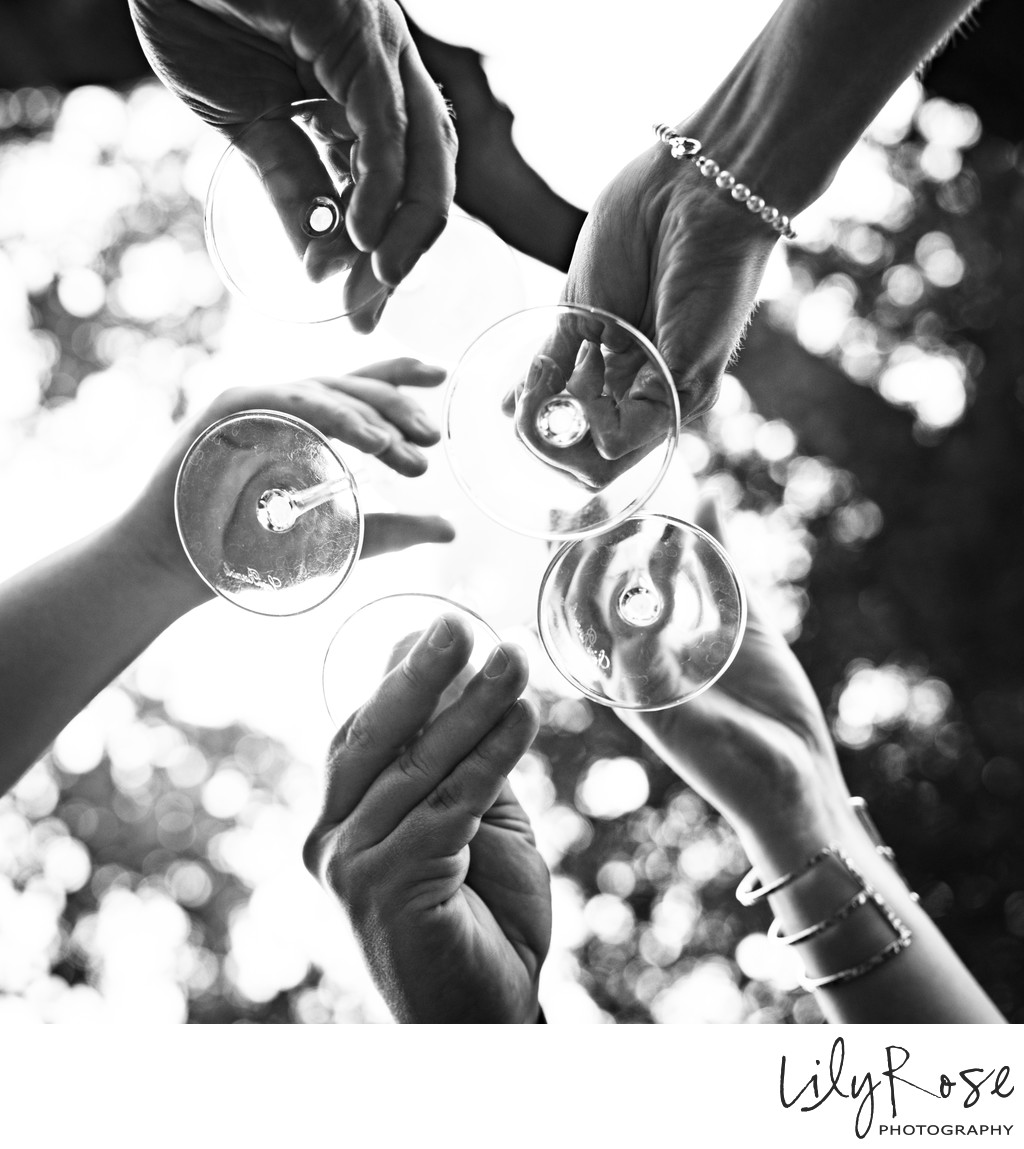 Sonoma Coast Elopement Photographer 