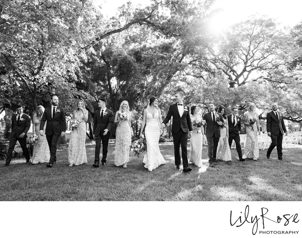 Wedding Photographers The Maples Woodland