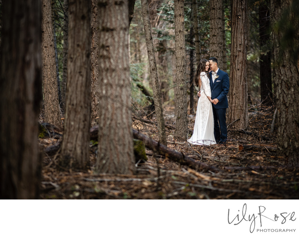 Sierra Foothills Wedding Photographers