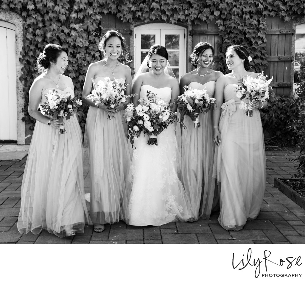 Viansa Wedding Photographers 