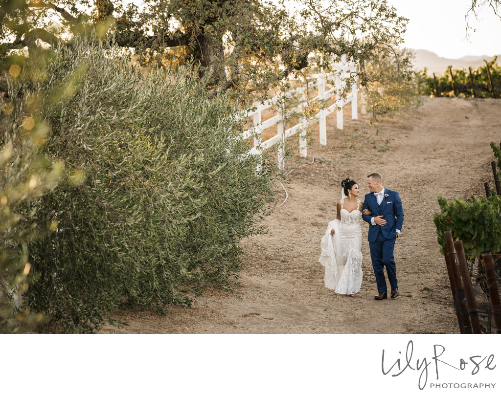 Meritage Napa Wedding Photographers
