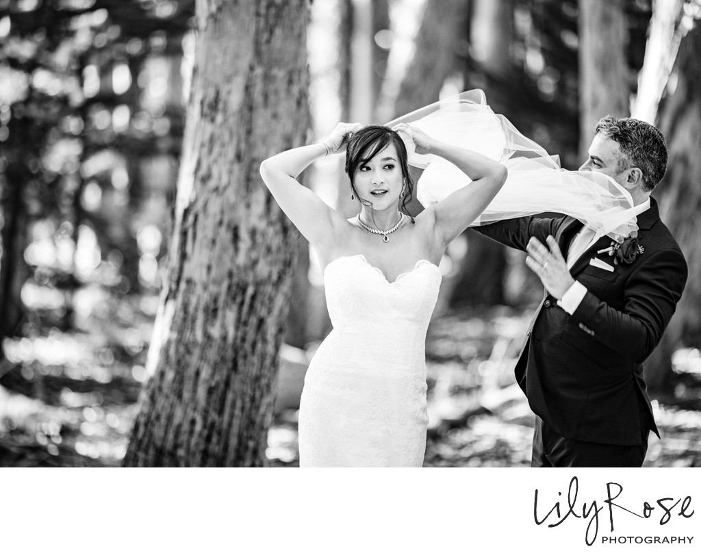 Editorial San Francisco Wedding Photographers 