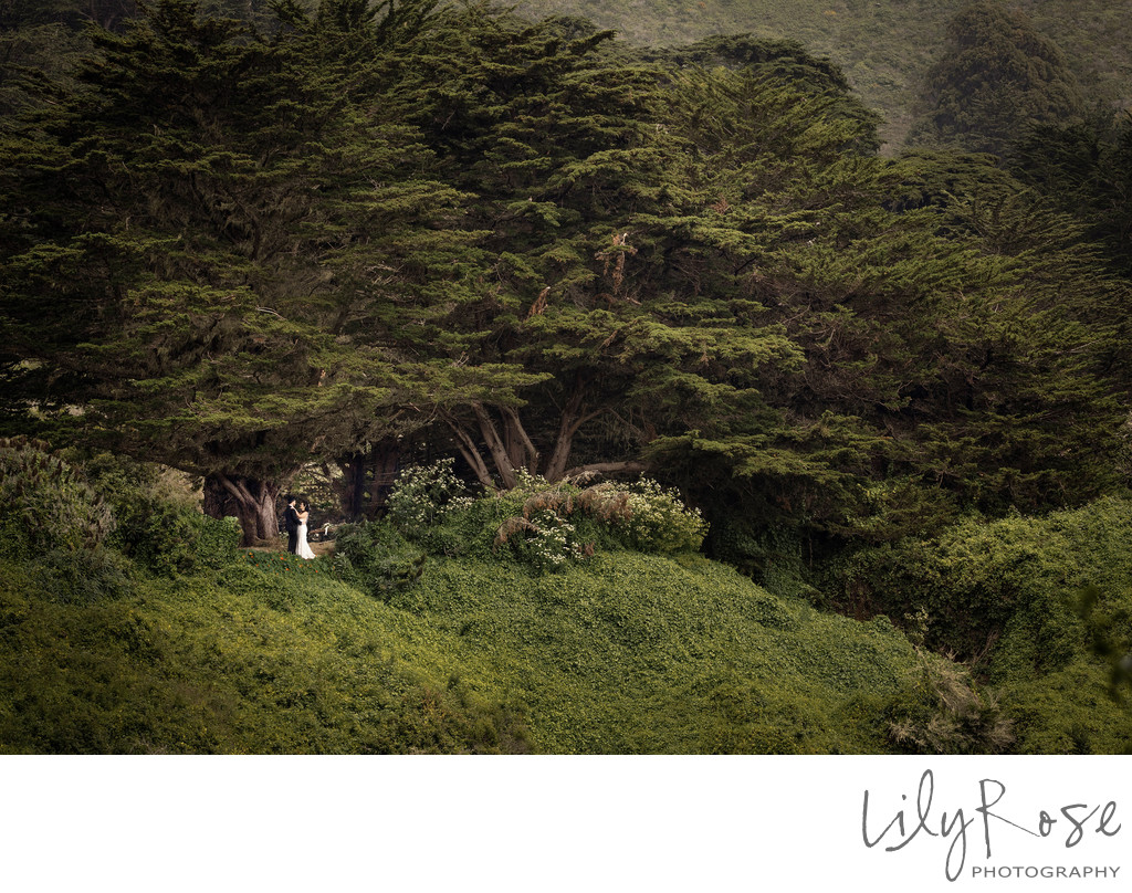 Big Sur Wedding Photography