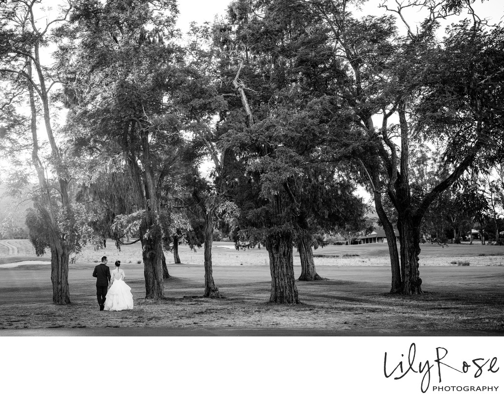 Fine Art Wedding Photographers Napa 