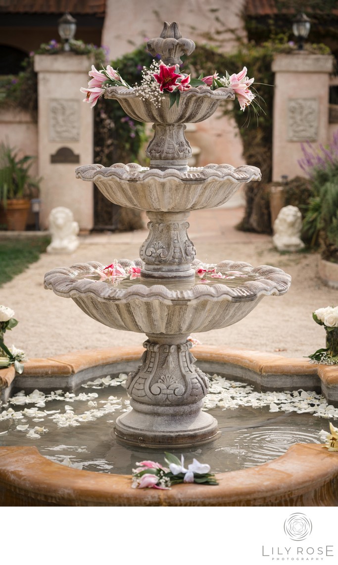 Wedding Photography Chateau Carmel Fountain