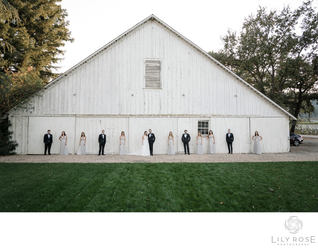 Destination Wedding Photographer Napa 
