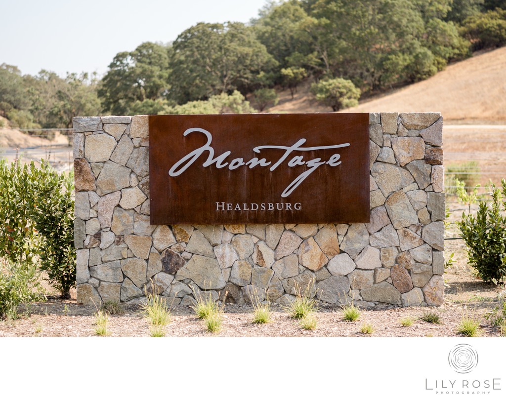 Wedding and Event Photography Montage Healdsburg