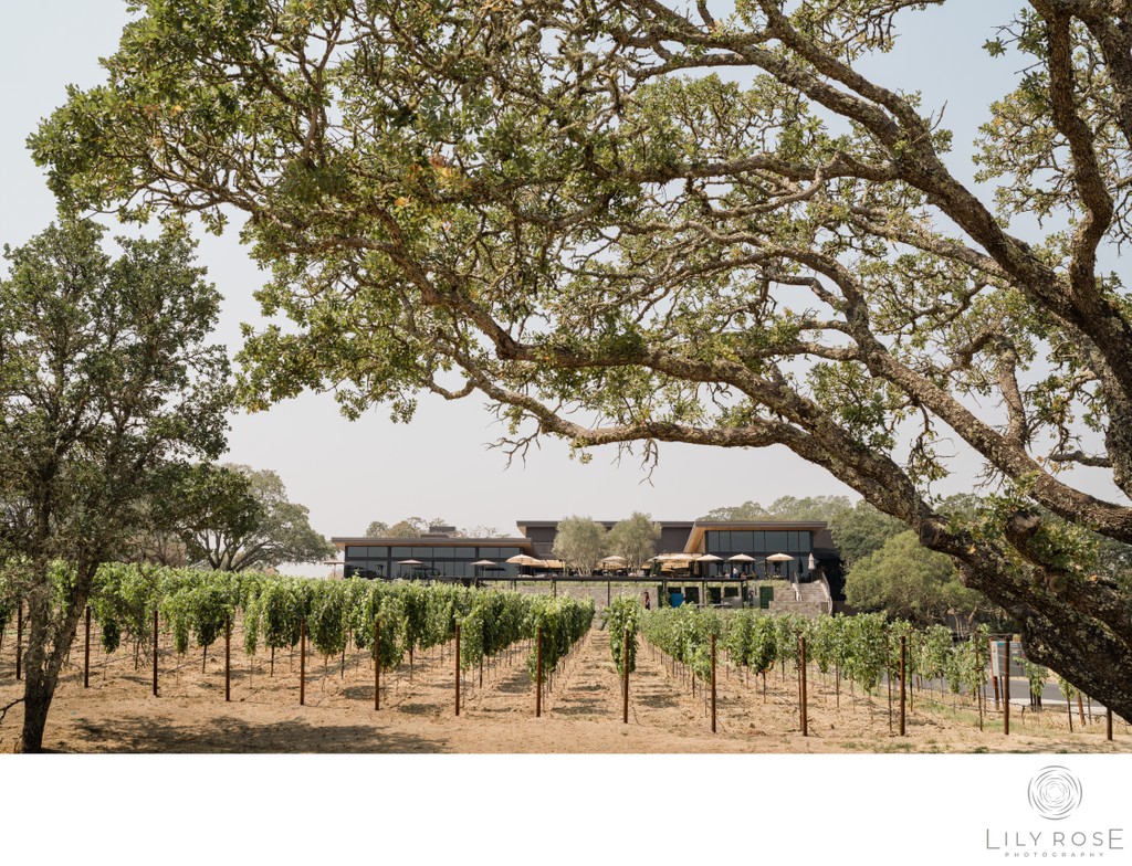 Montage Healdsburg Hotel Photography