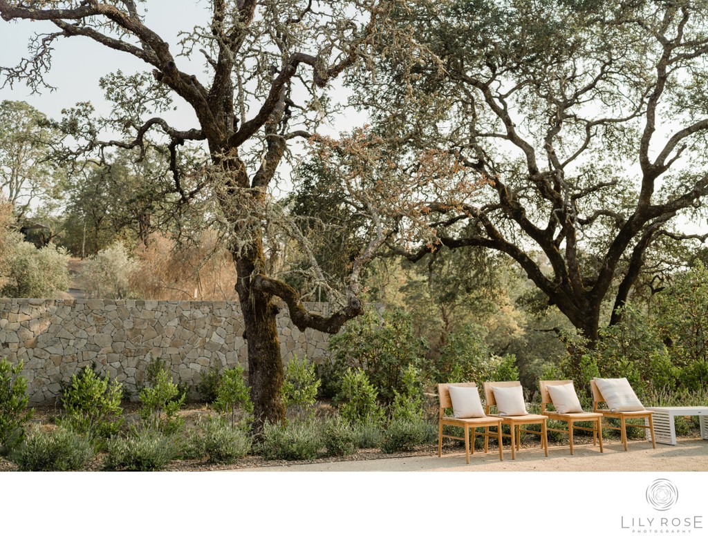 Montage Healdsburg Hotel Wedding Photographer
