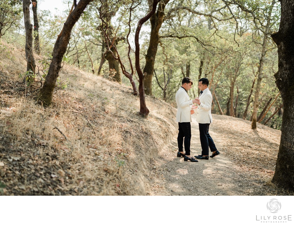 Same-Sex Wedding Photograph Montage Healdsburg Hotel