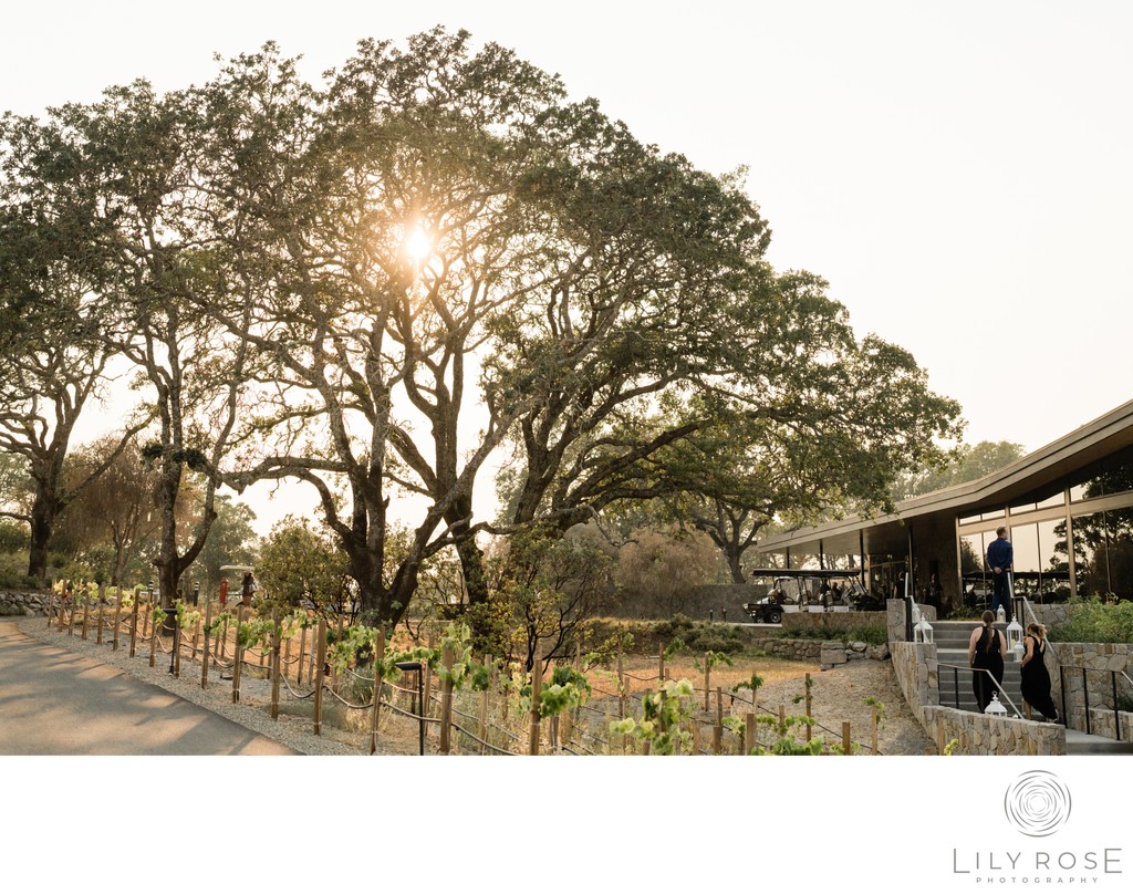 Wedding Reception Healdsburg Wedding Event Photography