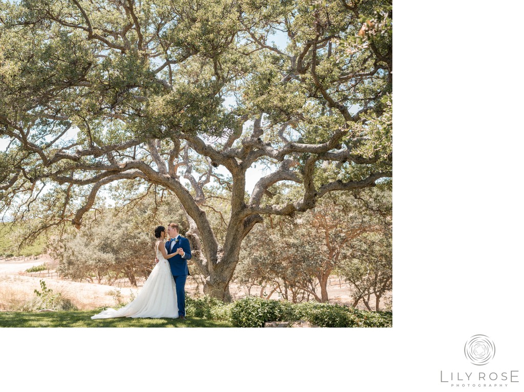 Paso Robles Wedding Photography