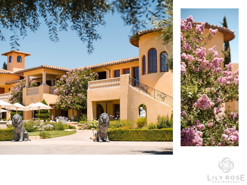 Paso Robles Wedding Photographer