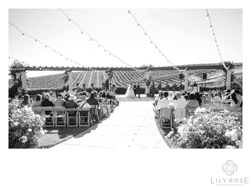 Best Paso Robles Wedding Photography