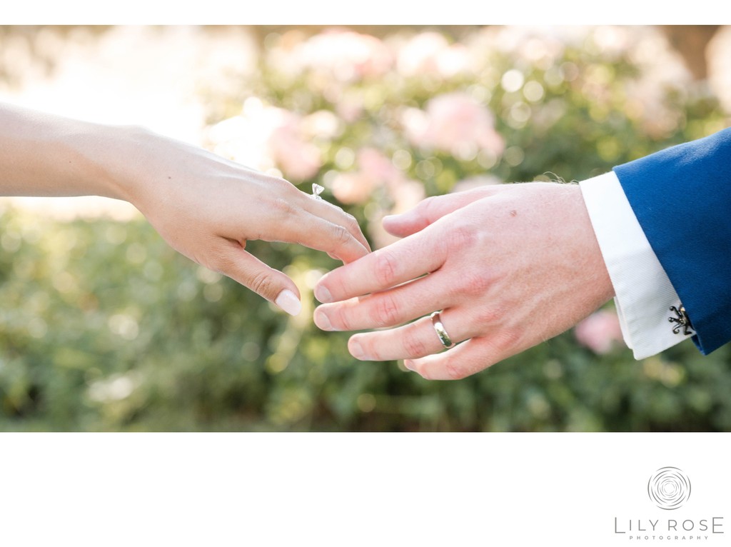 Storytelling Wedding Photography Paso Robles