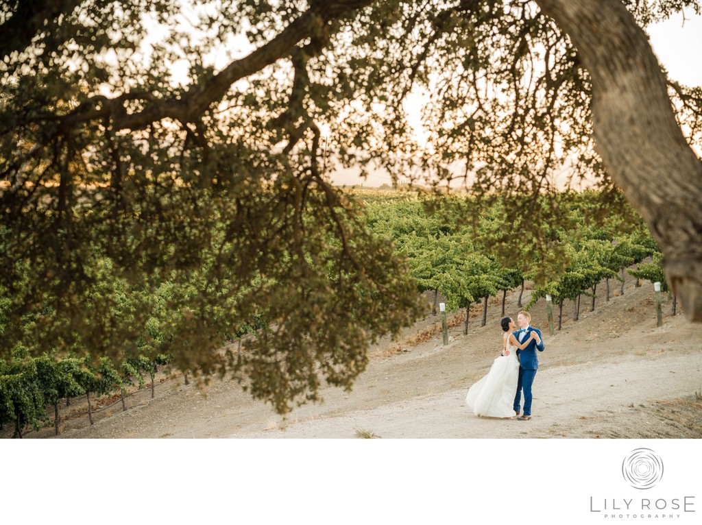 Villa San Juliette Wedding Paso Robles