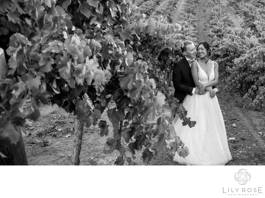 Vineyards Villa San Juliette Wedding Black and White