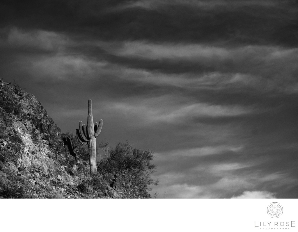 Masterclass for Boudoir Photographers